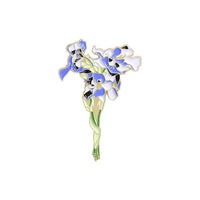Irises